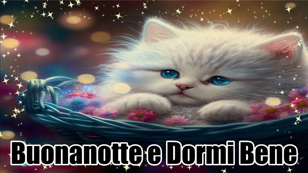 Watch Now 🌜Ti auguro una Notte serena e dolci sogni.✨Dormi bene! 🌜Ti auguro una Notte serena e dolci sogni.✨Dormi bene!