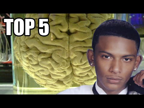 TOP 5 - Školních výletů, které skončily katastroficky