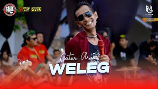 Download lagu CATUR ARUM - WELEG || One Pro X JPS Audio [ Live ] PEMUDA GAZHELLA BERSATU mp3