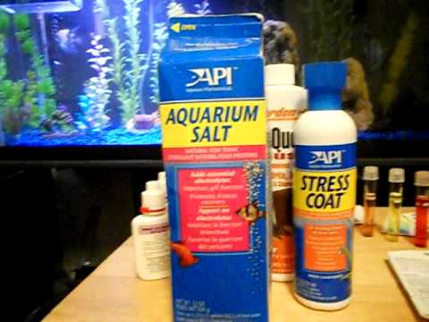 How to Remove Nitrites, Nitrates and Ammonia From A Freshwater Aquarium