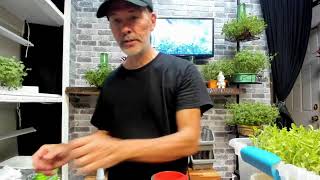 Behind the Scenes, Seed Giveaways