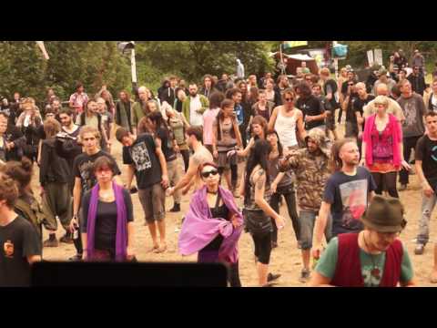 Psycrowdelica 2014 Megalopsy and Frantic Noise part 4