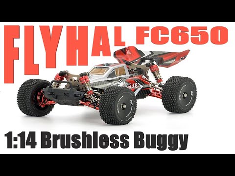 VFM. Flyhal FC650 Brushless 1:14 Buggy (XLF F18 Clone). Full Unboxing & Teardown.