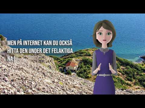 Apartments Maslina Pag - Om oss