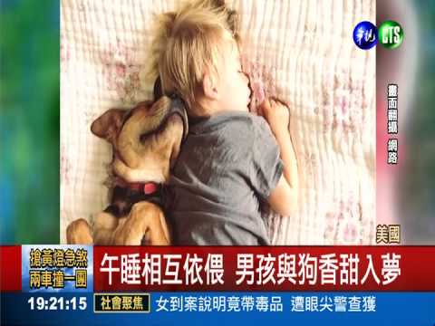 男孩與狗相擁而眠 療癒百分百