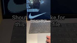 Shout out to Nike for their robots.txt lmao