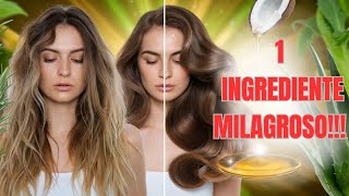 ???? SEU CABELO ESTÁ CAINDO DESCUBRA O PODER DAS ERVAS E ÓLEOS NATURAIS! ????‍♀️✨