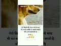 Agar Roti Khilane Ki Aukat Na Ho To Mara Bhi Mat Karo Love Status New Youtubeshort Hindi Sad