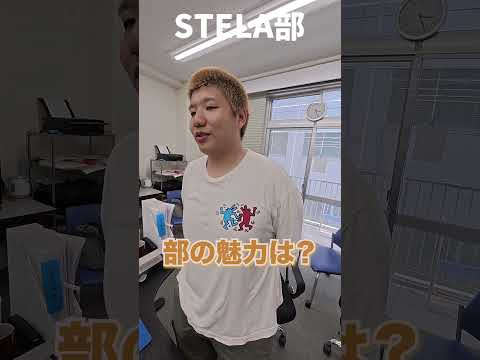 STELA部ってどんな事してるの？