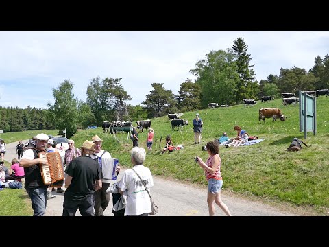 Transhumance 2022 - Auberge du Ried - Luttenbach-prés-Munster