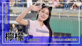 【台湾チア】檸檬 Lemon / Fubon Angels / 2023.9.22 勝者為王 + 蔣智賢,申皓瑋 應援曲 [中文歌詞]