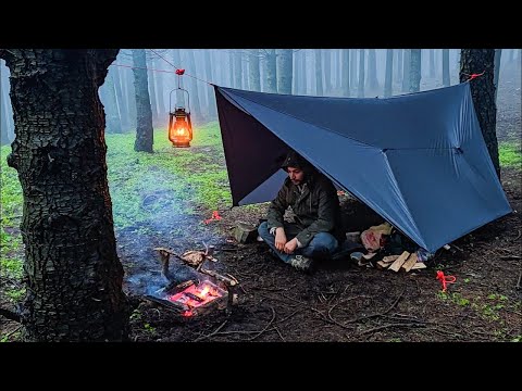 Onewind Hammock Tarp Shelter: Solo Winter Rainstorm Bushcraft Overnight