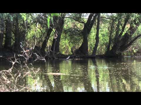 Delta Dunarii- paradisul aproape pierdut