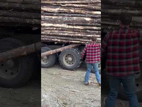 Old Logger Trick