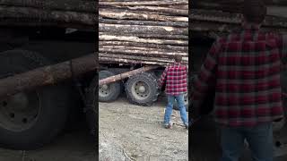 Old Logger Trick