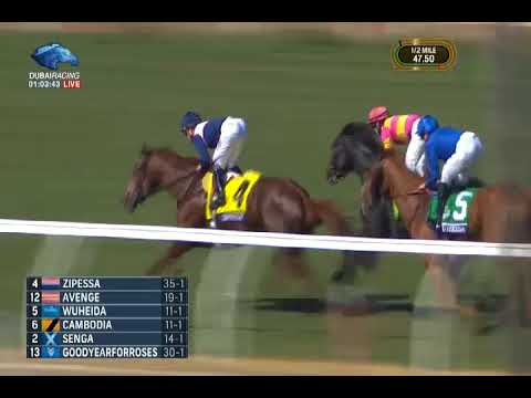 Breeders' Cup Filly and Mare Turf Stakes G1 - 04\11\2017 - Wuheida