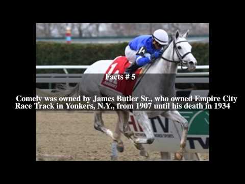 Comely Stakes Top # 8 Facts