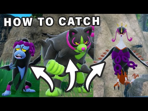 Where to Catch Munkidori, Fezandipiti & Okidogi | The Loyal Three ► Pokemon Scarlet & Violet