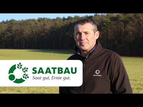 Wintergerste - Tipps zur Bestandesführung