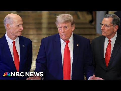 Trump says Republicans have a 'well-unified party' after meeting with Senators