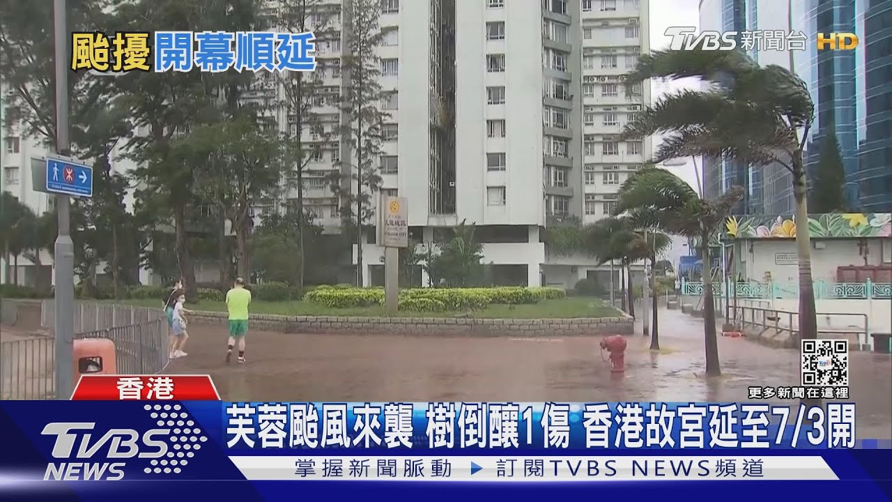 芙蓉颱風來襲樹倒釀1傷　香港故宮延至7/3開