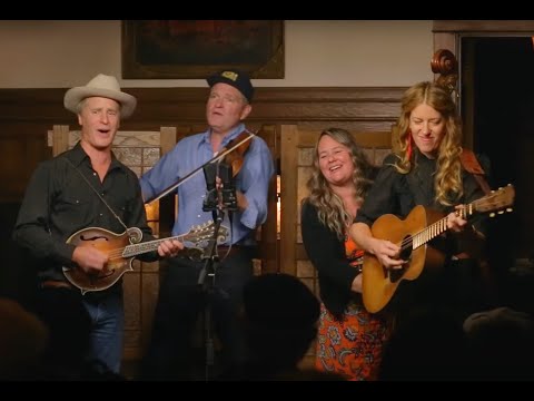 Foghorn Stringband - Concert Film (Set Two)
