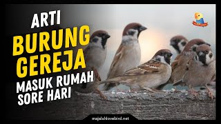 Download lagu 7 Meanings of Sparrows Entering the House in the Afternoon mp3