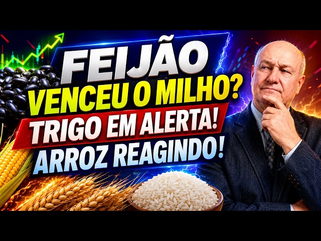 Feijão tomando lugar do milho? Pior Safra de Trigo vai impactar o Brasil!