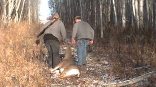preview picture of video 'Alberta Whitetail Deer Hunt'