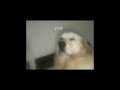 El Batako Legenda LYRICS VIDEO