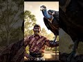 Man Make A Vulture His New Pets Funny