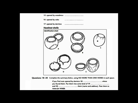 【IELTS】2015雅思聽力測驗－測驗5　(IELTS listening 2015 - Test 5 (With Answers))