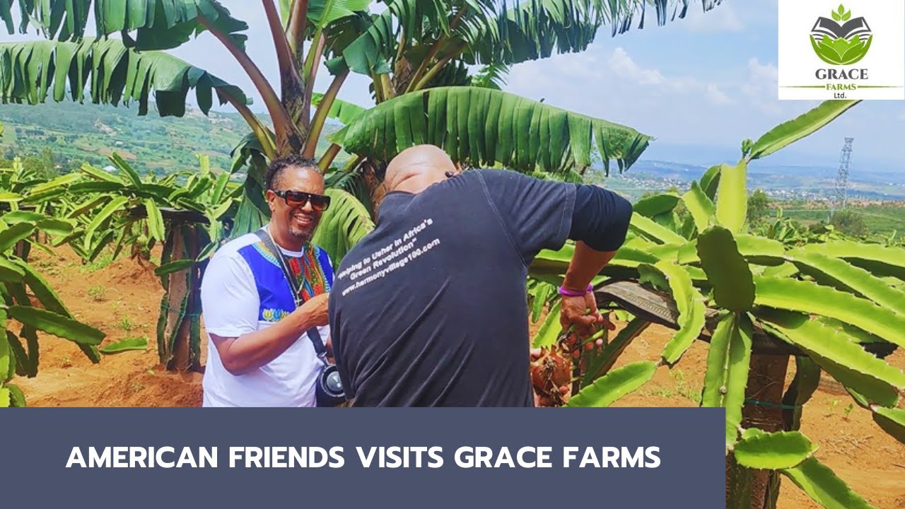 Grace Farms Activity 1