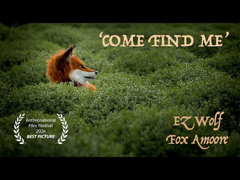 Come Find Me  -  Music video by EZwolf