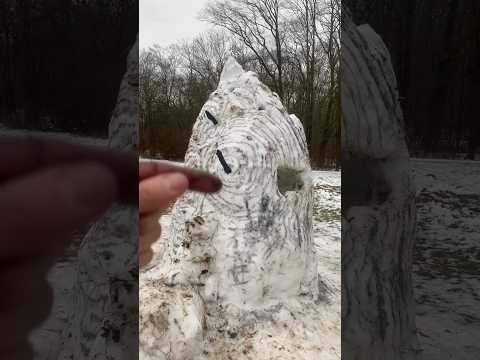 Wahr oder falsch? Bemalte Iglus gegen Raubtiere? #natur #winter #tiere