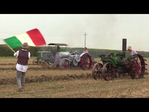 Rievocazione aratura di stato, trattori a petrolio | San Biagio 2025 - Titan, Mogul & Heider plowing