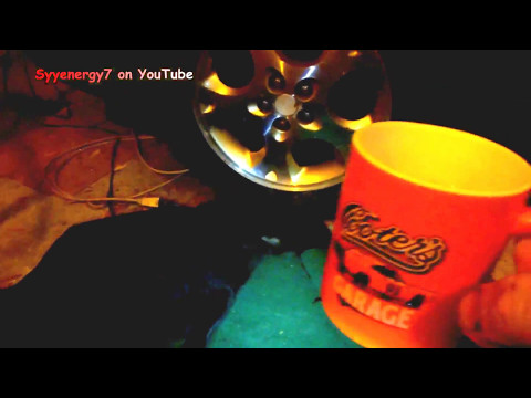 Charlene the Black 'Rebel' CAT, All Cozy and Safe