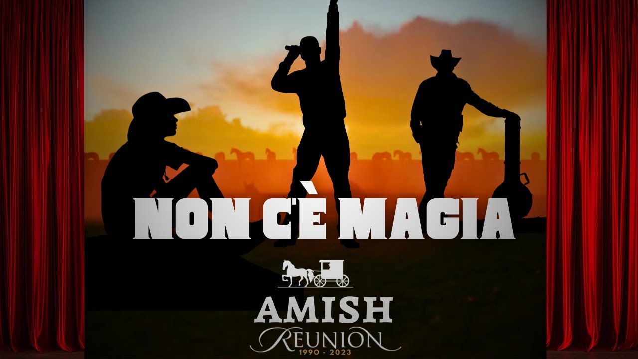 Uncovering the Musical Biography of Amish: His Journey, Influences, and Famous Discography