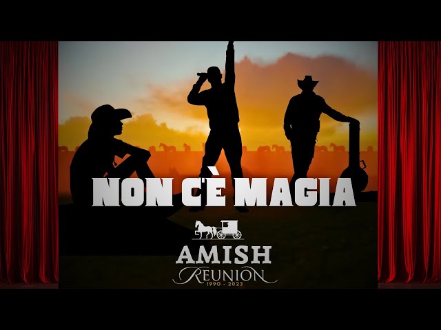 Uncovering the Musical Biography of Amish: His Journey, Influences, and Famous Discography