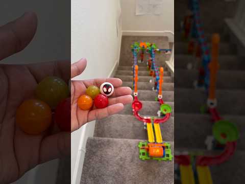 Long marble run on Stairs #marblerun #marblerace #marblerush #race #satisfyingvideo #dominoes #vtech