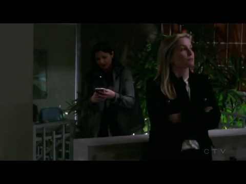 Grey's Anatomy 13X14 Arizona and Eliza kiss