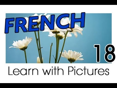 Learn French French Vegetable Vocabulary