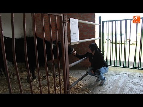 Desván Editorial difunde la esencia de Salamanca