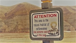 LEEROY STAGGER "Love Versus" Telus STORYHIVE pitch