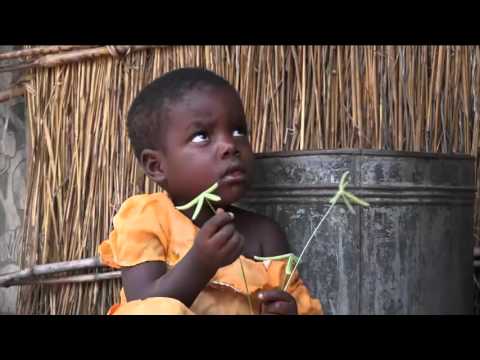 Svältkatastrof hotar Malawi - Nyheterna (TV4)