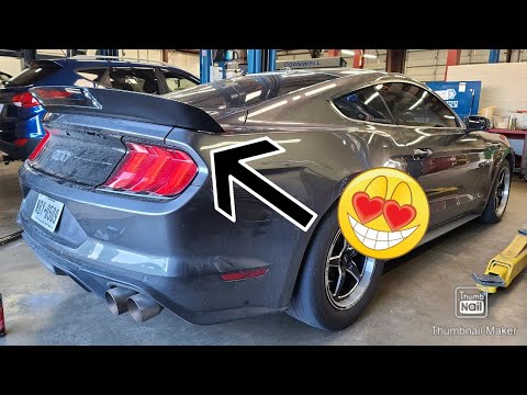 scott drake wicker bill install/ mustang