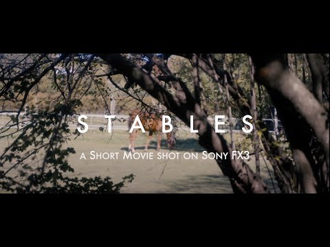 STABLES | shot on Sony FX3 - Sony 24-105 - Tiffen BPM 1/4