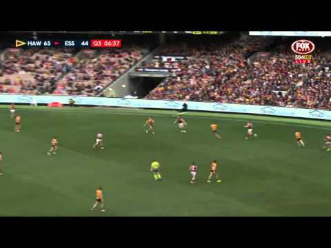 Round 13 AFL - Hawthorn v Essendon Highlights