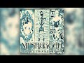 Meshuggah - Acrid Placidity | Haekki ReMaster