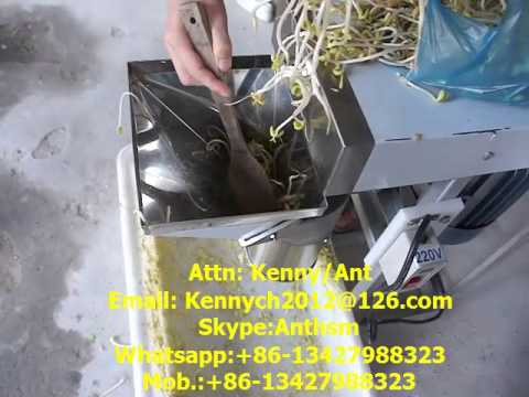 SH-617 bean sprout and vegetable chopping grinding machine, paste making machine